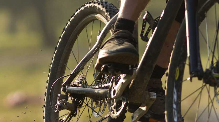 pedalear-2